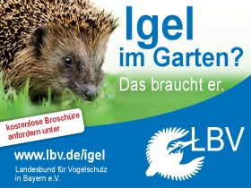 Veranstaltungen des Landesbund fr Vogelschutz in Bayern e.V.